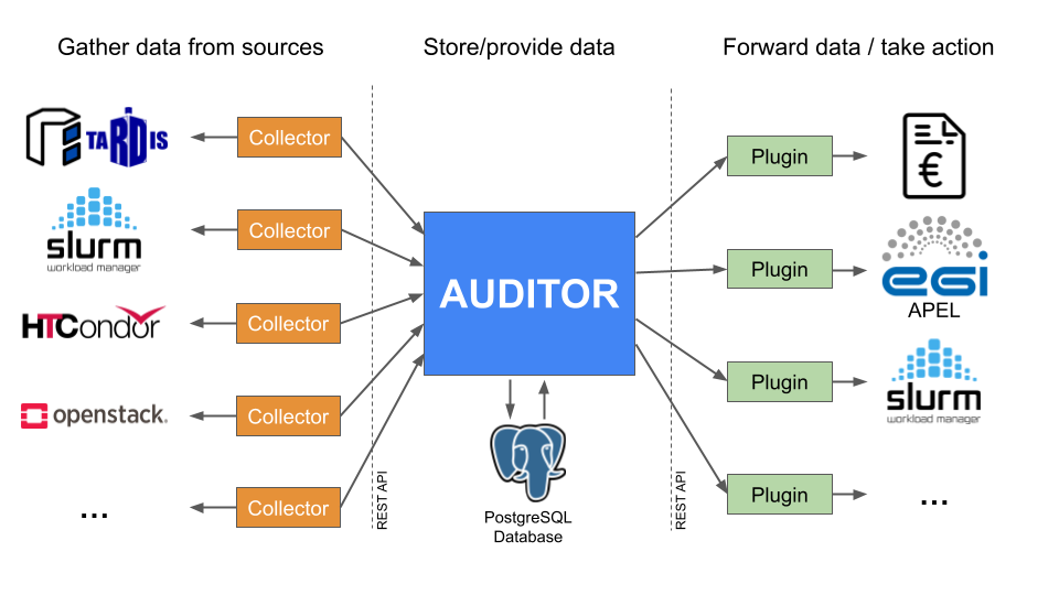 Auditor